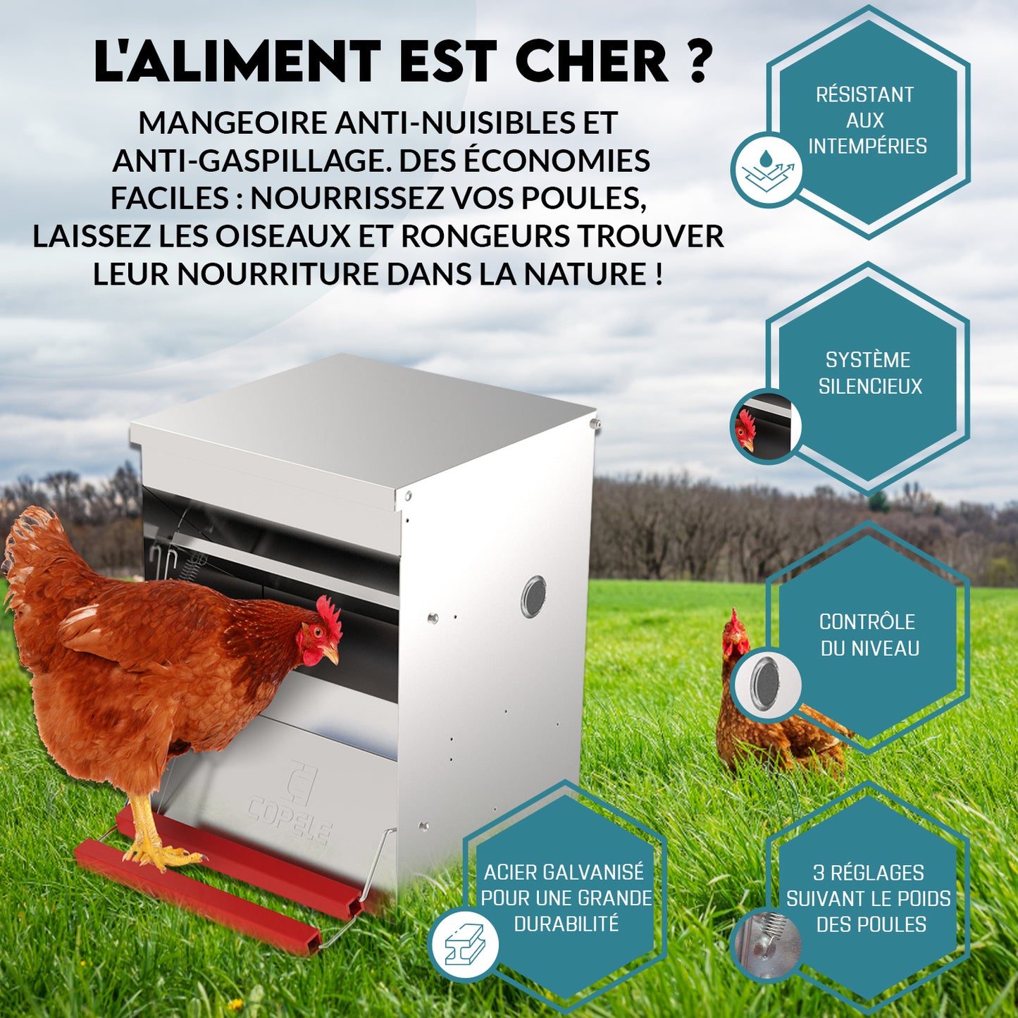 Mangeoire anti-nuisibles pour poules. Evite rats et oiseaux.