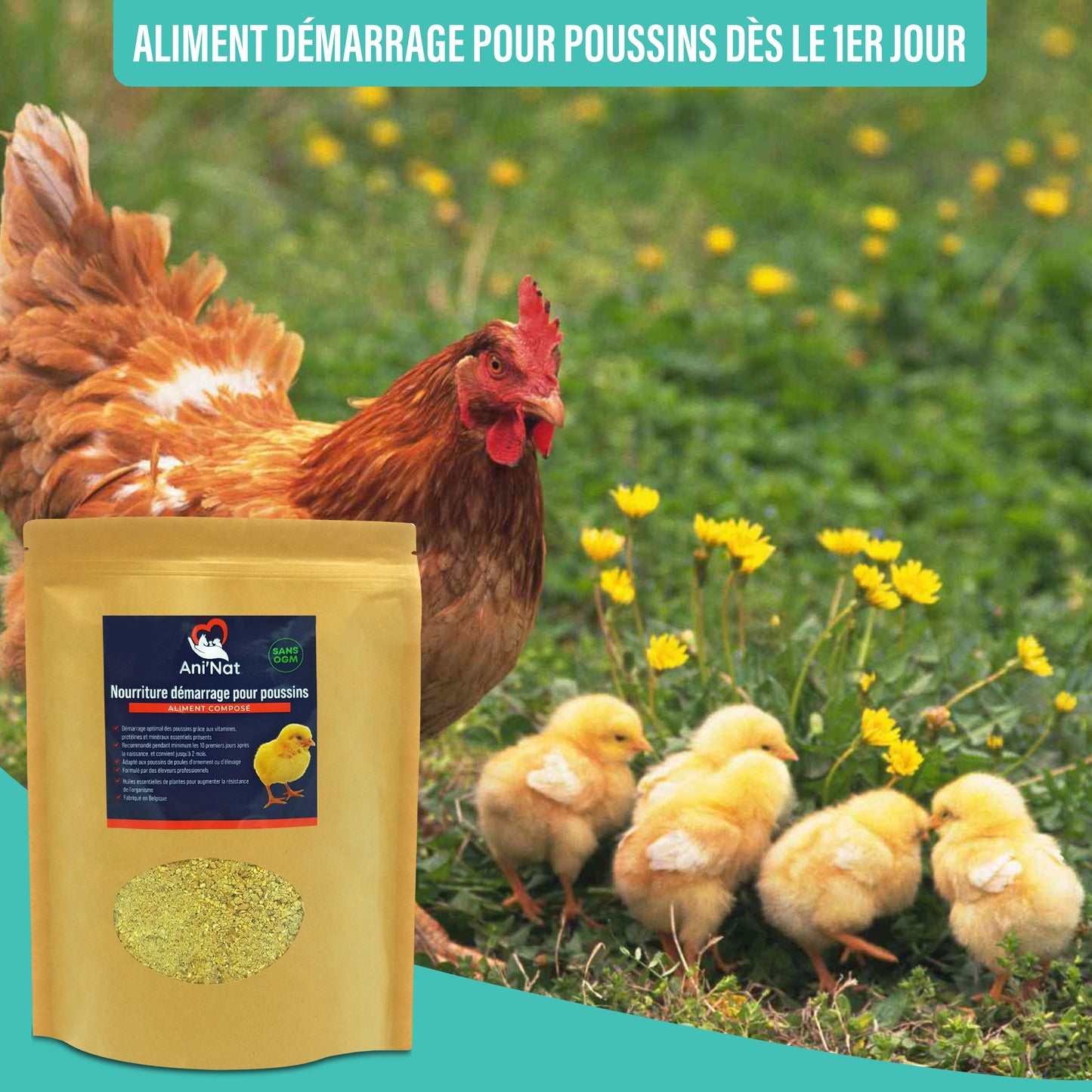 Nourriture démarrage poussins, aliment 1er âge complet avec huiles essentielles, vitamines et minéraux